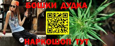 соль ск Будённовск