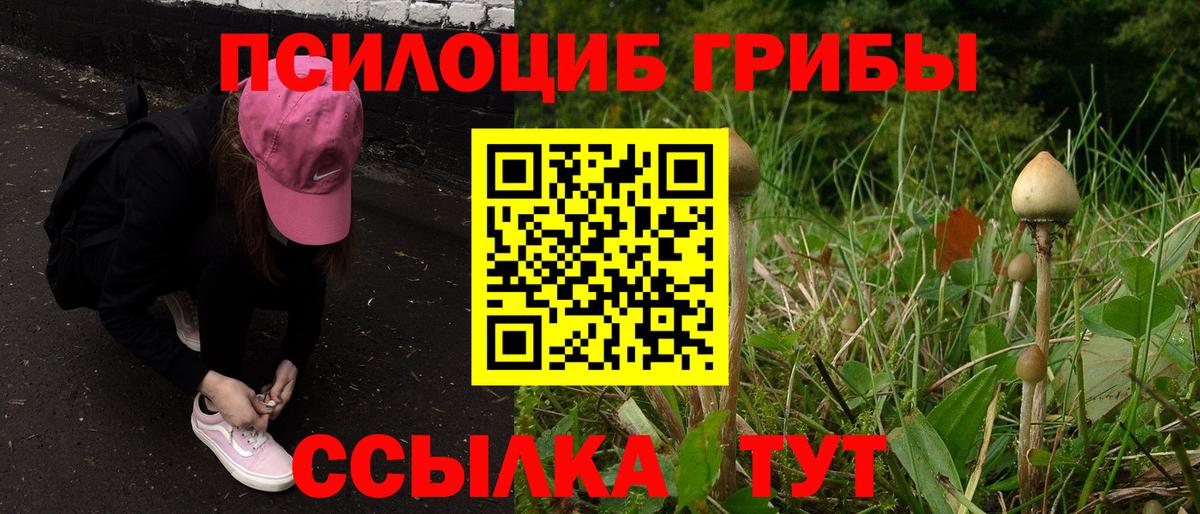 Галлюциногенные грибы Psilocybe  Псилоцибиновые грибы мицелий  Красноармейск  Вход с VPN 